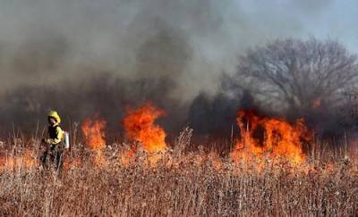 Пожар на юго-востоке Франции распространился на пять тысяч гектаров