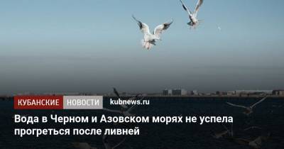 Вода в Черном и Азовском морях не успела прогреться после ливней