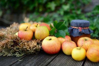Яблочный спас: что можно и нельзя делать 19 августа
