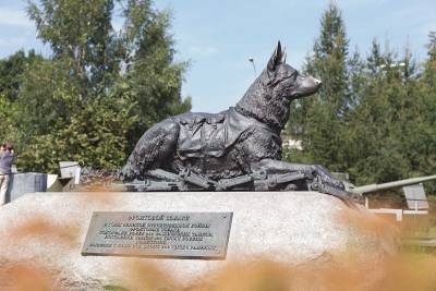Астраханцы узнают о подвигах фронтовых собак