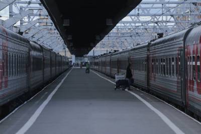 На Московском вокзале задержали зацепера, приехавшего в Петербург на крыше поезда