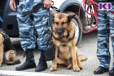 В Сыктывкаре полицейская собака помогла разыскать без вести пропавшего 81-летего пенсионера