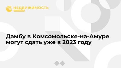 Дамбу в Комсомольске-на-Амуре могут сдать уже в 2023 году