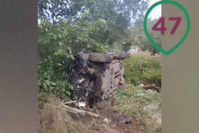 В Нурме автомобиль врезался в дерево, водитель погиб – фото