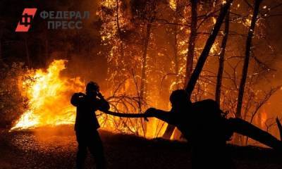 «Не оценили угрозу вовремя»: чем для Поволжья обернутся небывалые лесные пожары в Башкирии