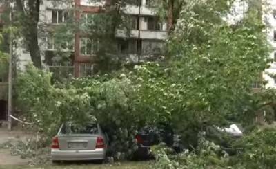 Шквалы до 20 метров в секунду: в Украине резко ухудшится погода, названы области
