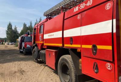 Более 430 лесных пожаров удалось потушить в Ленобласти с начала года