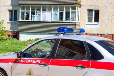 В Марий Эл задержан пытавшийся совершить кражу житель Татарстана