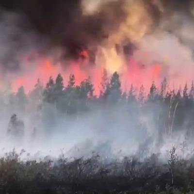 Из-за лесного пожара в районе Сен-Тропе эвакуированы тысячи людей