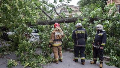 Ураганный ветер обрушится на Петербург 18 августа