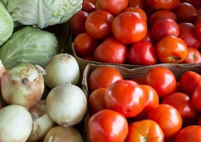 В Рязанской области на 16% снижены цены на овощи «борщевого» набора