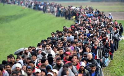Вы не можете просто не пускать мигрантов: Совет Европы и ООН о ситуации на границе Латвии