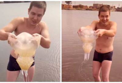 Бердянск "захватили" огромные медузы: поднять можно только двумя руками
