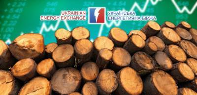 Участники со всех областей Украины аккредитуются на торги необработанной древесиной на УЭБ