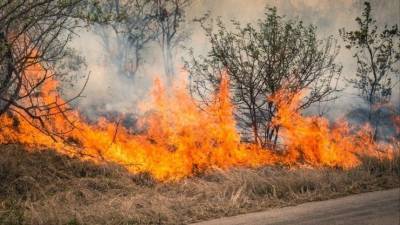 К тушению лесных пожаров в Башкирии привлекли добровольцев
