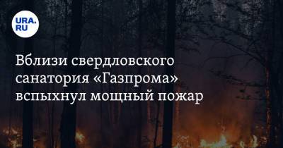 Вблизи свердловского санатория «Газпрома» вспыхнул мощный пожар