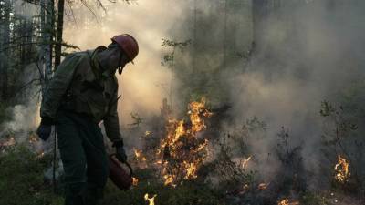 В МЧС рассказали о ситуации с лесными пожарами в Якутии