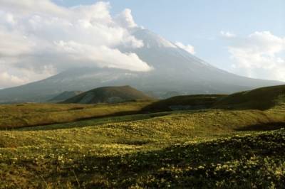 Два туриста сорвались с вулкана на Камчатке