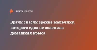 Врачи спасли зрение мальчику, которого едва не ослепила домашняя крыса