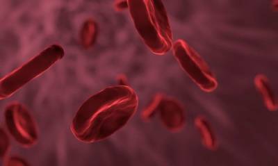Биохимики из Германии: Повышенная свертываемость крови может быть причиной затяжного COVID-19