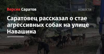 Саратовец рассказал о стае агрессивных собак на улице Навашина