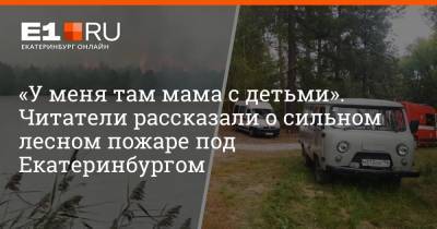 «У меня там мама с детьми». Читатели рассказали о сильном лесном пожаре под Екатеринбургом