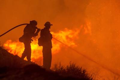 Причиной лесного пожара в Рязанской области стал «человеческий фактор»