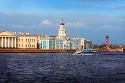 Хранилищем петербургской Кунсткамеры займется подрядчик из Москвы