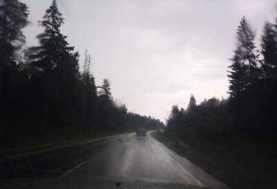 В районах Тверской области ожидают сильный ливень, ветер и грозу