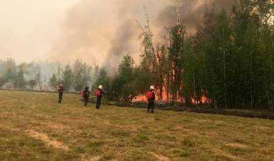 В МЧС заявили о стабилизации ситуации с лесными пожарами в Якутии