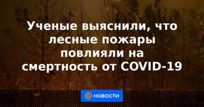 Ученые выяснили, что лесные пожары повлияли на смертность от COVID-19