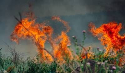 В Башкирии из-за пожароопасной ситуации природные парки закроют до конца лета