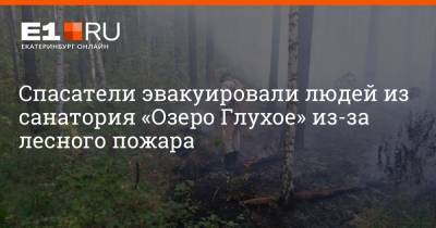 Спасатели эвакуировали людей из санатория «Озеро Глухое» из-за лесного пожара