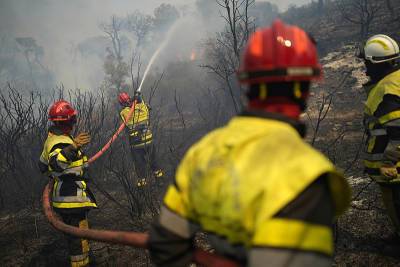 На юге Франции вспыхнул еще один крупный лесной пожар