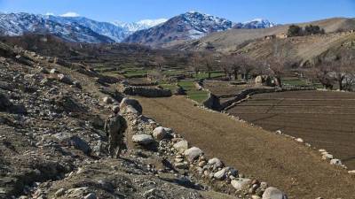 Десять тысяч бойцов направились в провинцию Афганистана для борьбы с талибами*
