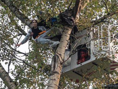 Активистку, протестовавшую против реновации на дереве, отправили под домашний арест