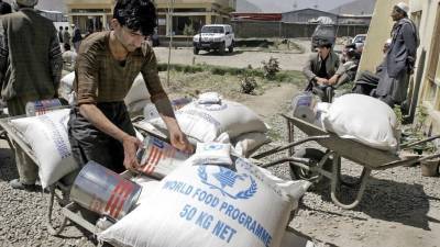 Координатор ООН по Афганистану предупредил об угрозе голода из-за засухи в стране