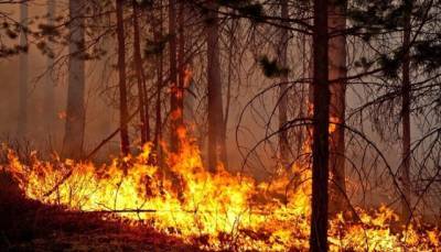 Полпред президента РФ на Дальнем Востоке: СМИ драматизируют ситуацию с лесными пожарами
