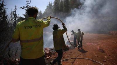 Пожар возле Иерусалима локализован, жители вернутся домой
