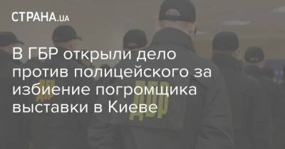 В ГБР открыли дело против полицейского за избиение погромщика выставки в Киеве