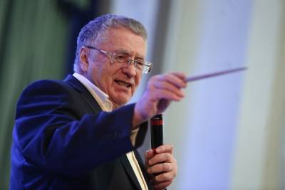 Жириновский обвинил сенатора Грешнякову в «растрате» денег на адвокатов Фургала