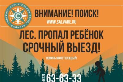 Появились подробности пропажи годовалой девочки в лесу в Тёмкинском районе