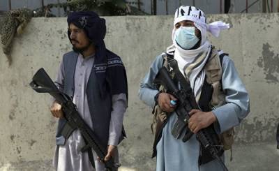 Пентагон обвинил талибов в помощи террористам