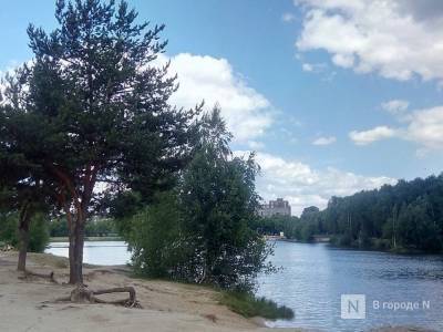 Семь нижегородских озер непригодны для купания