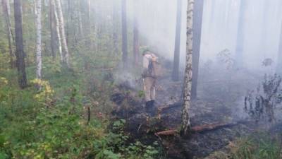 В Свердловской области борются с лесным пожаром площадью 40 гектаров