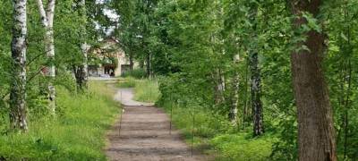 В одном из парков Петрозаводска появится цветная дорожка