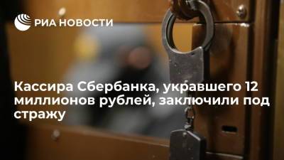 Кассира Сбербанка, укравшего 12 миллионов рублей и пытавшегося покинуть Россию, заключили под стражу