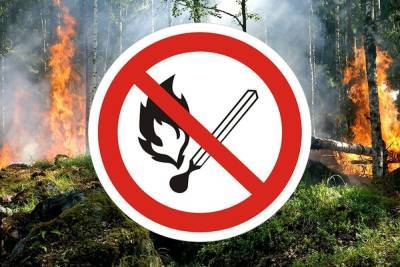 Пожар в Кологривском лесу наконец-то ликвидирован