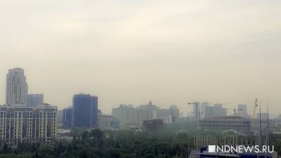 Смог в Екатеринбурге вызван крупным лесным пожаром под Первоуральском (ФОТО)