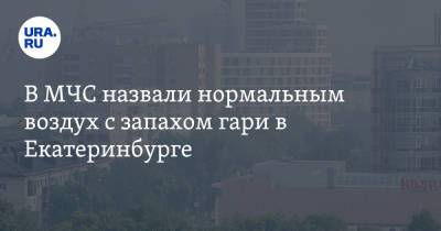 В МЧС назвали нормальным воздух с запахом гари в Екатеринбурге